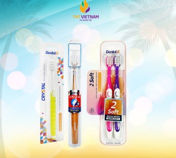 Bàn chải đánh răng người lớn Dental B