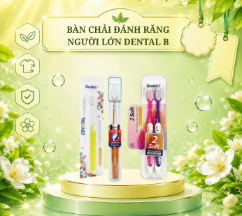 Bàn chải đánh răng người lớn Dental B