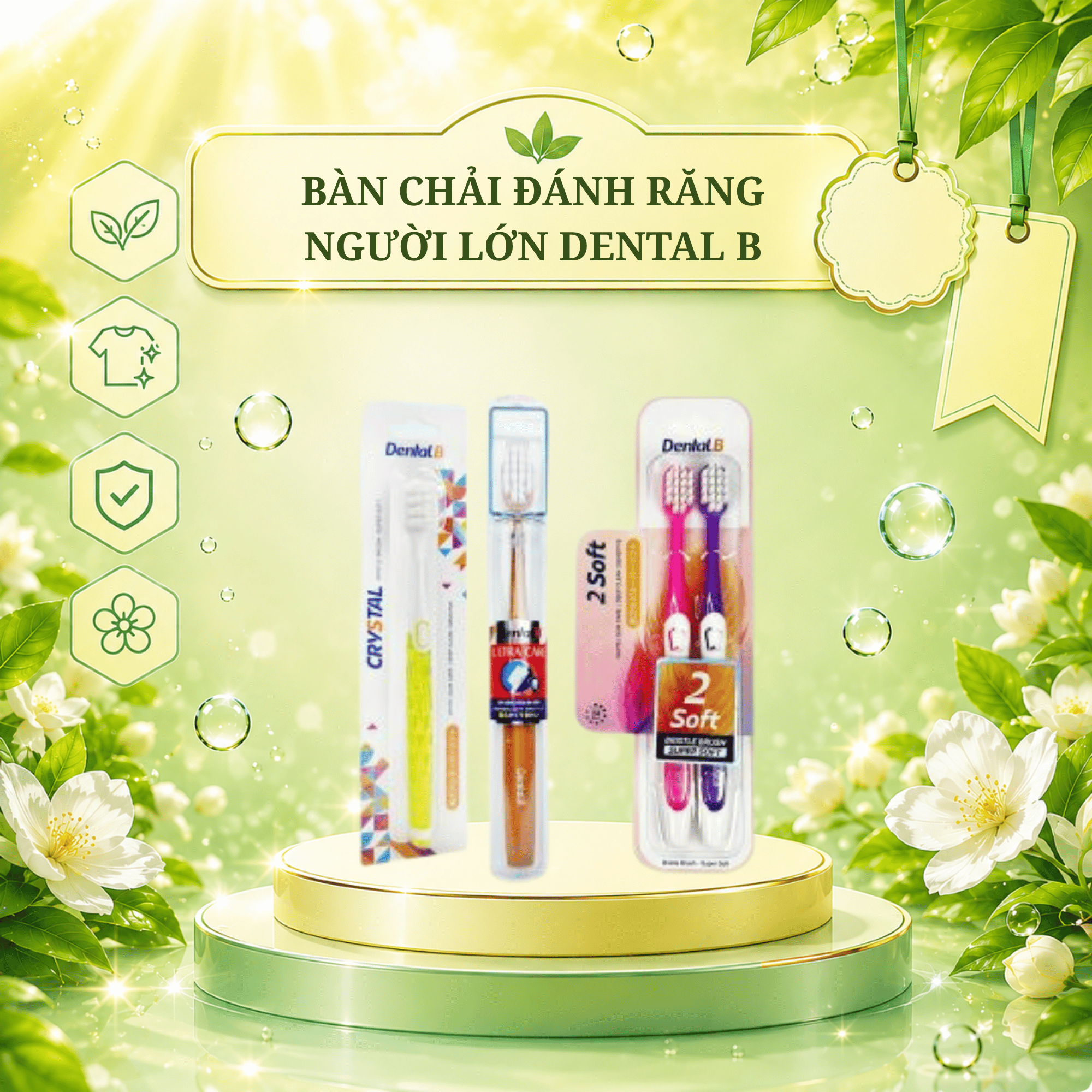 Bàn chải đánh răng người lớn Dental B