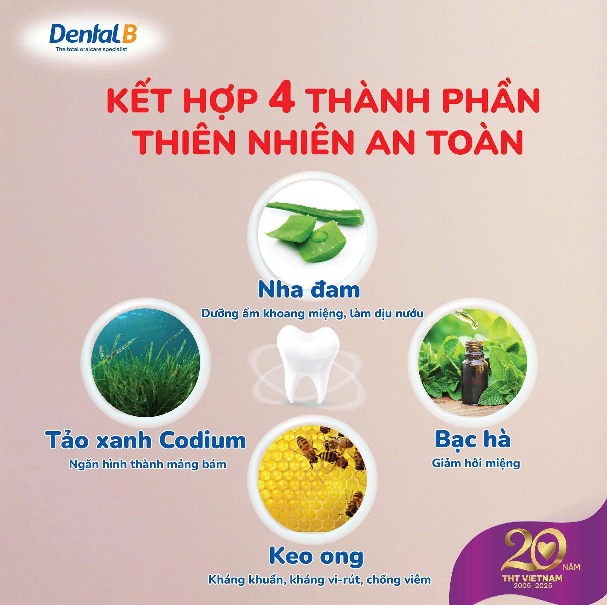 Kem đánh răng thảo dược trẻ em Dental B Thái Lan vị bánh sữa 50gr - Ảnh 6